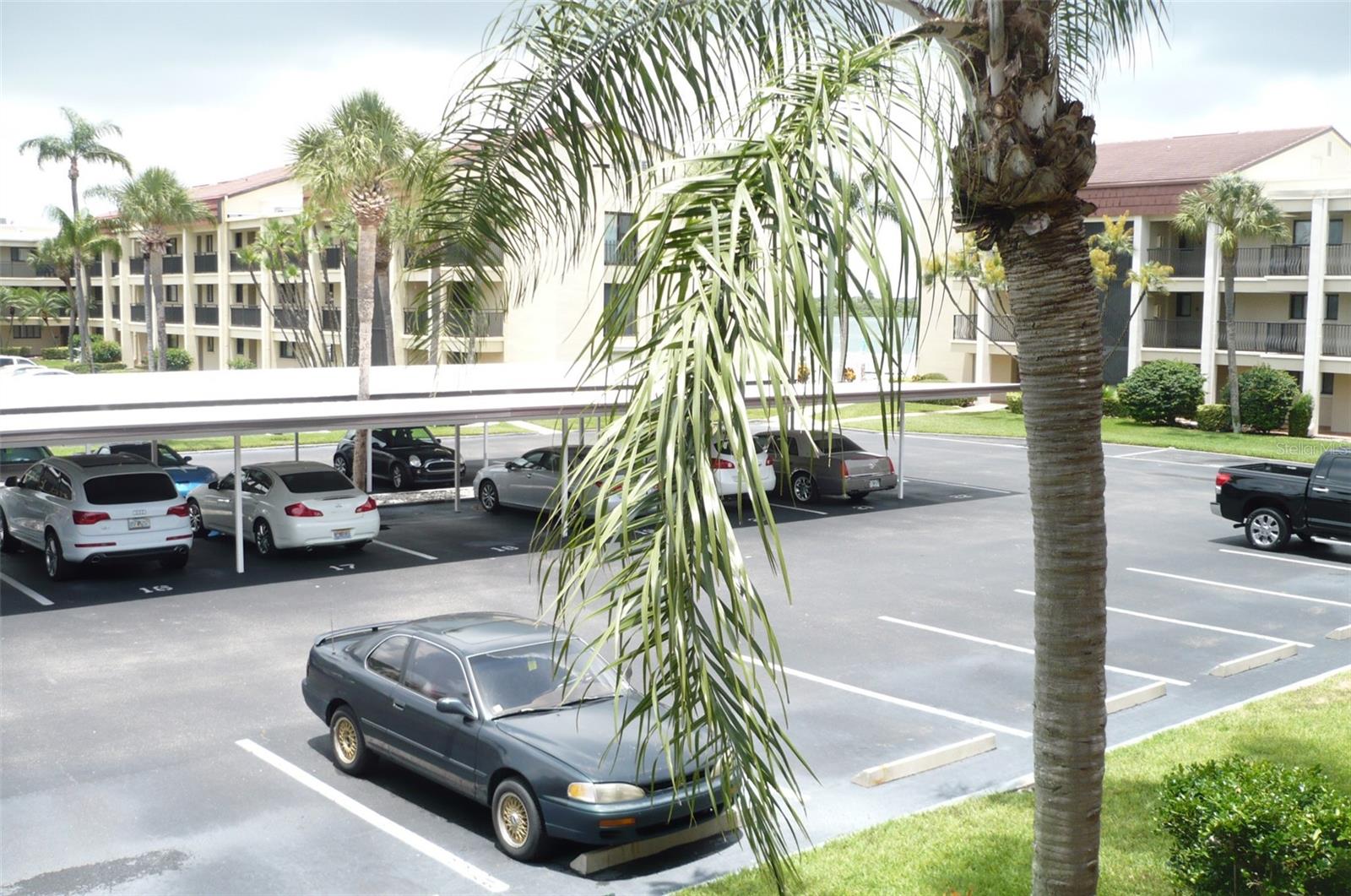895 S GULFVIEW BLVD  #203 — photo 36