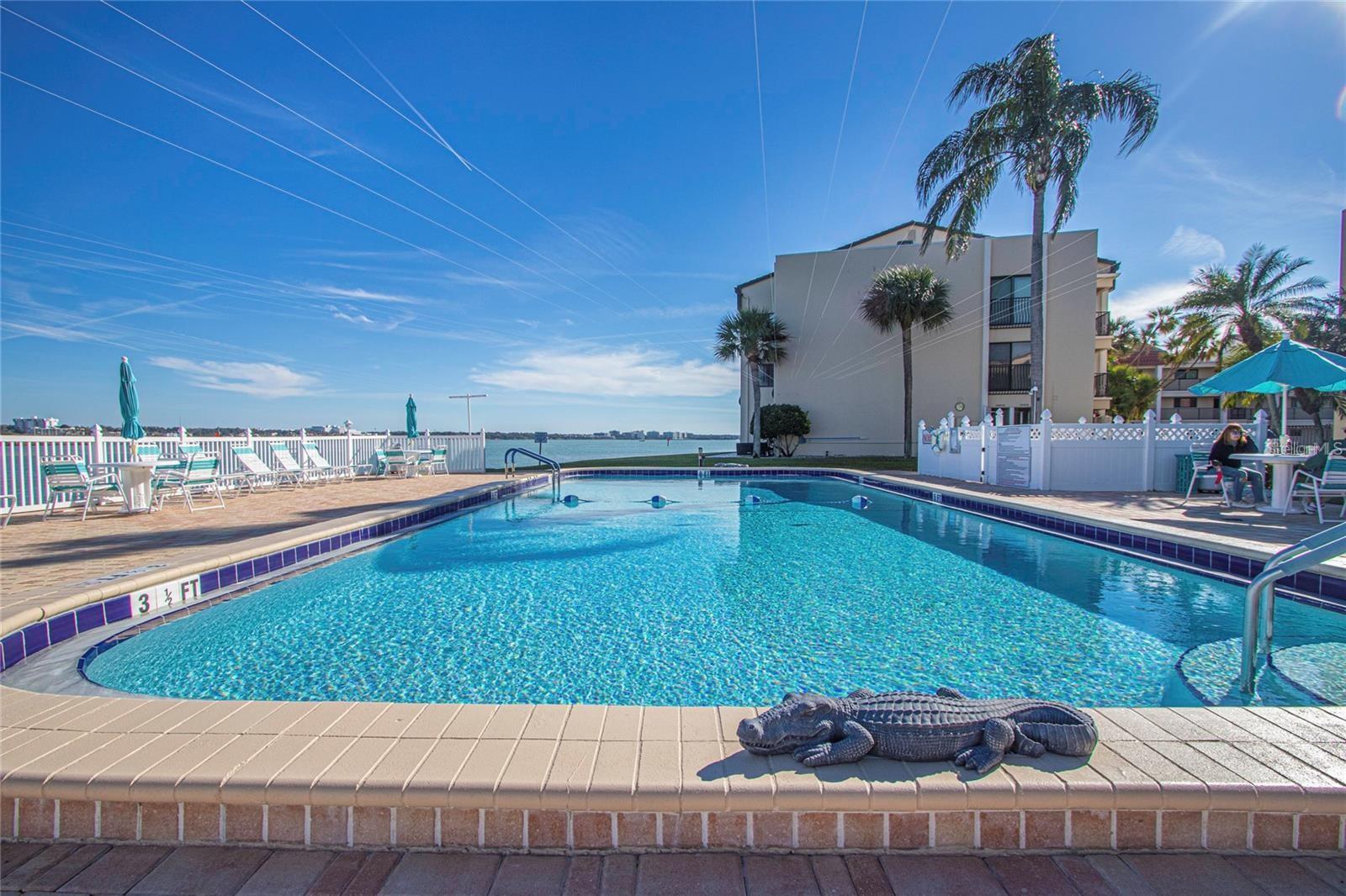 895 S GULFVIEW BLVD  #203 — photo 11