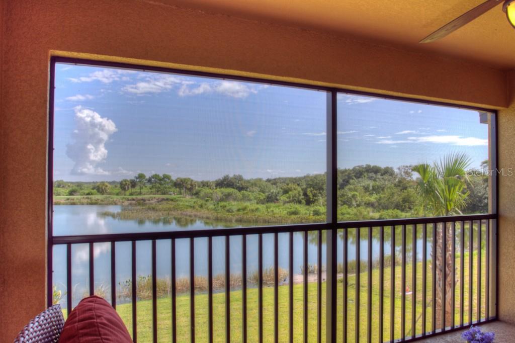 7305  RIVER HAMMOCK DR  #206 — photo 24