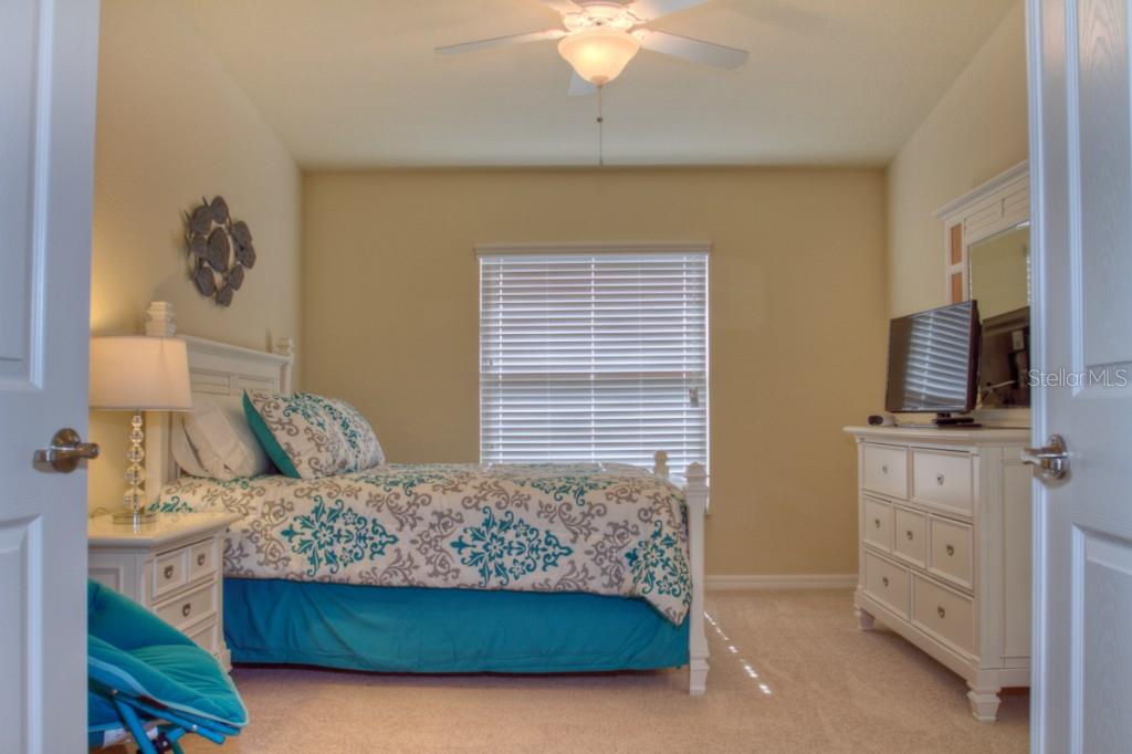7305  RIVER HAMMOCK DR  #206 — photo 19