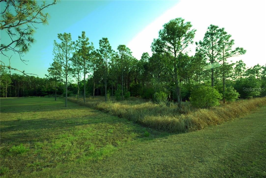 30150 OVERPASS RD — photo 4