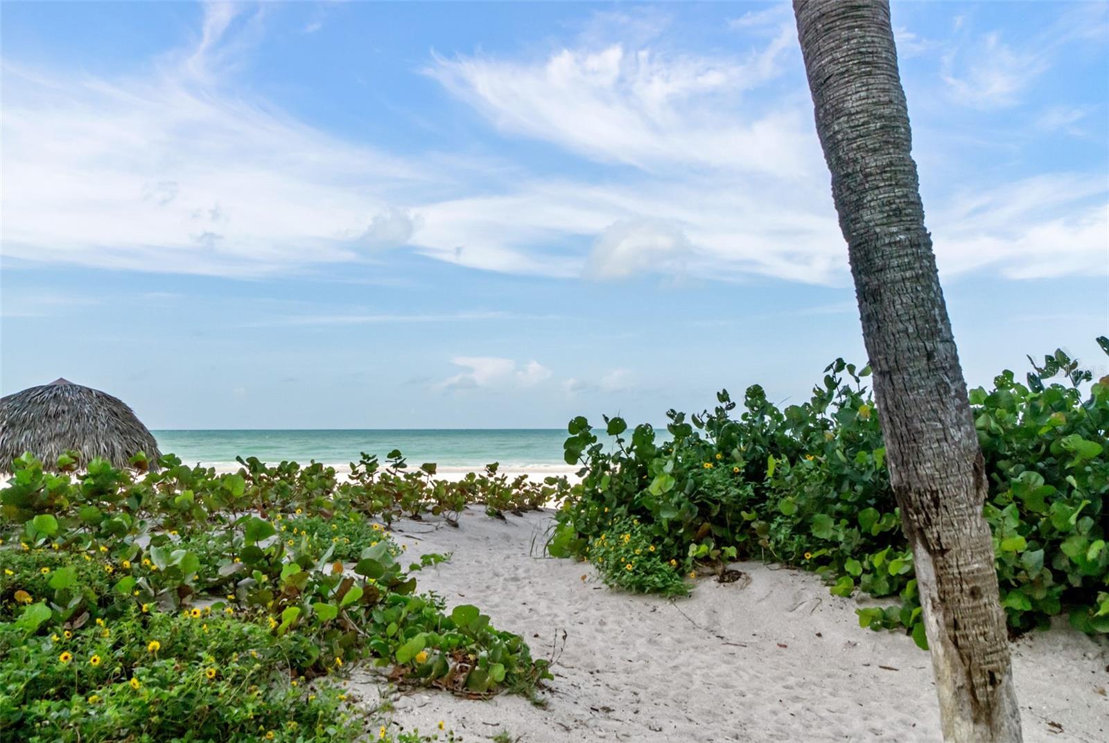 2425 GULF OF MEXICO DR #7C — photo 41