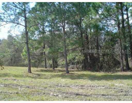 Home in ZEPHYRHILLS — photo 2