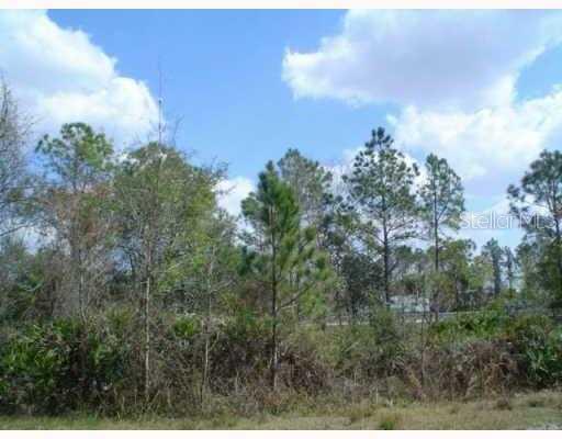 Home in ZEPHYRHILLS — photo 4