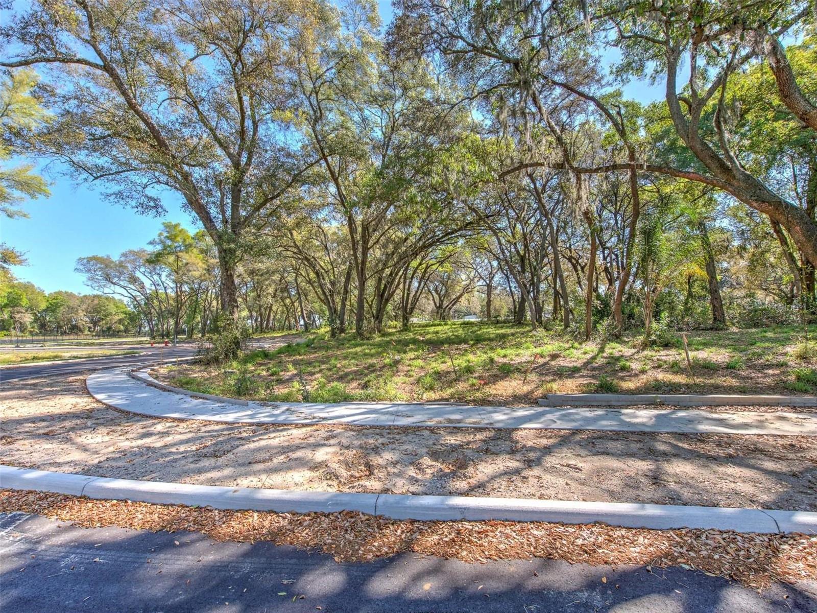 6011  COUNTY ROAD 579 — photo 16
