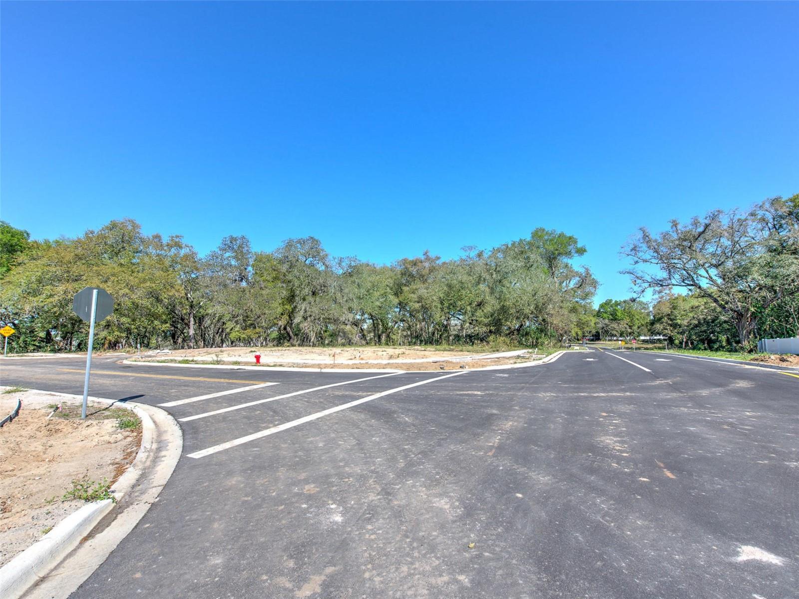 6011  COUNTY ROAD 579 — photo 10