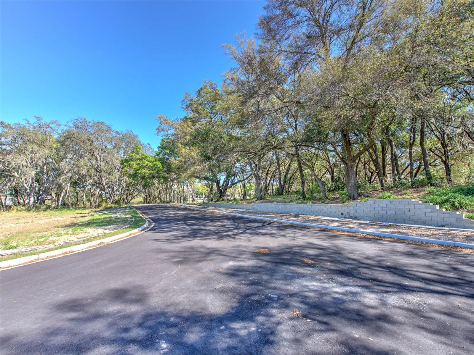 6011  COUNTY ROAD 579 — photo 17