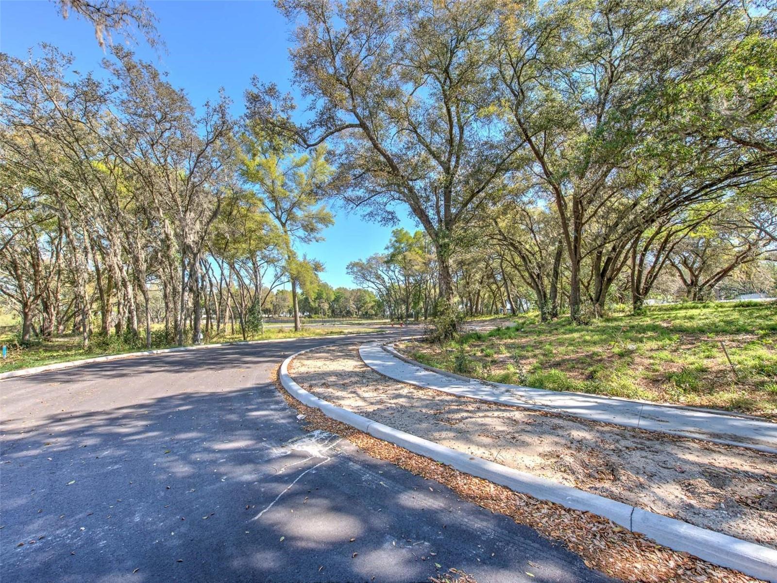 6011  COUNTY ROAD 579 — photo 15