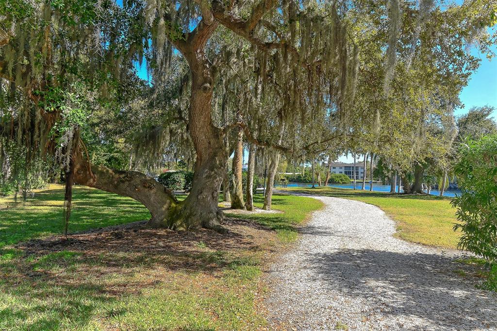 6415 MIDNIGHT PASS RD #602 — photo 39