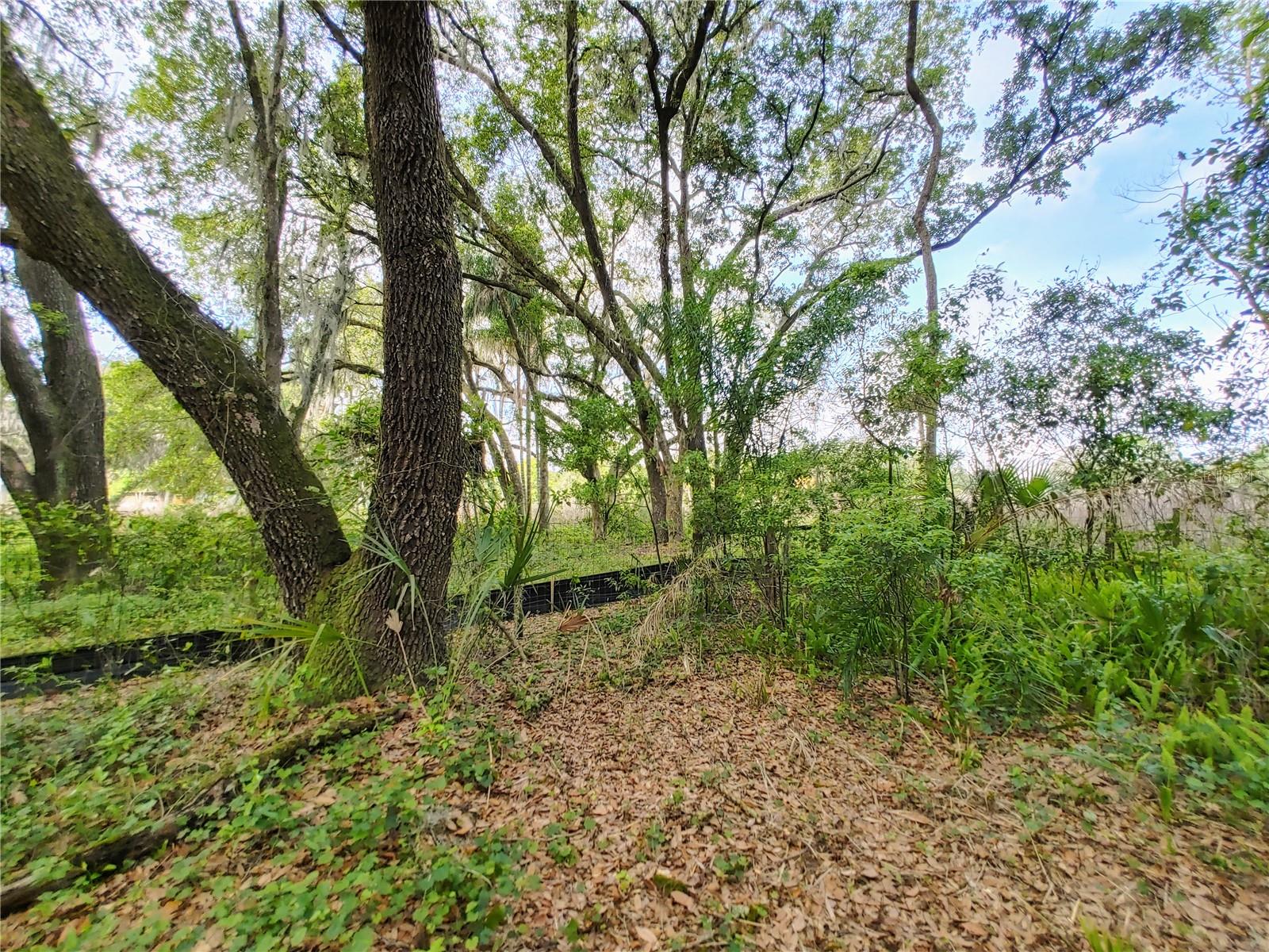 7819 E ELM ST — photo 25