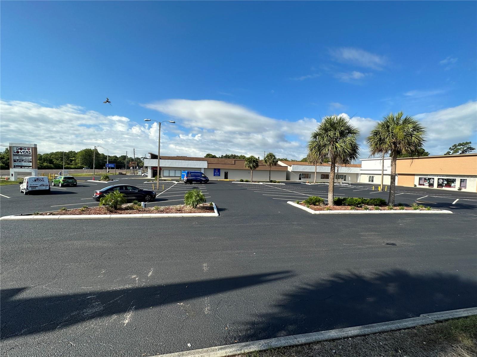 39930 US HIGHWAY 19 N — photo 32