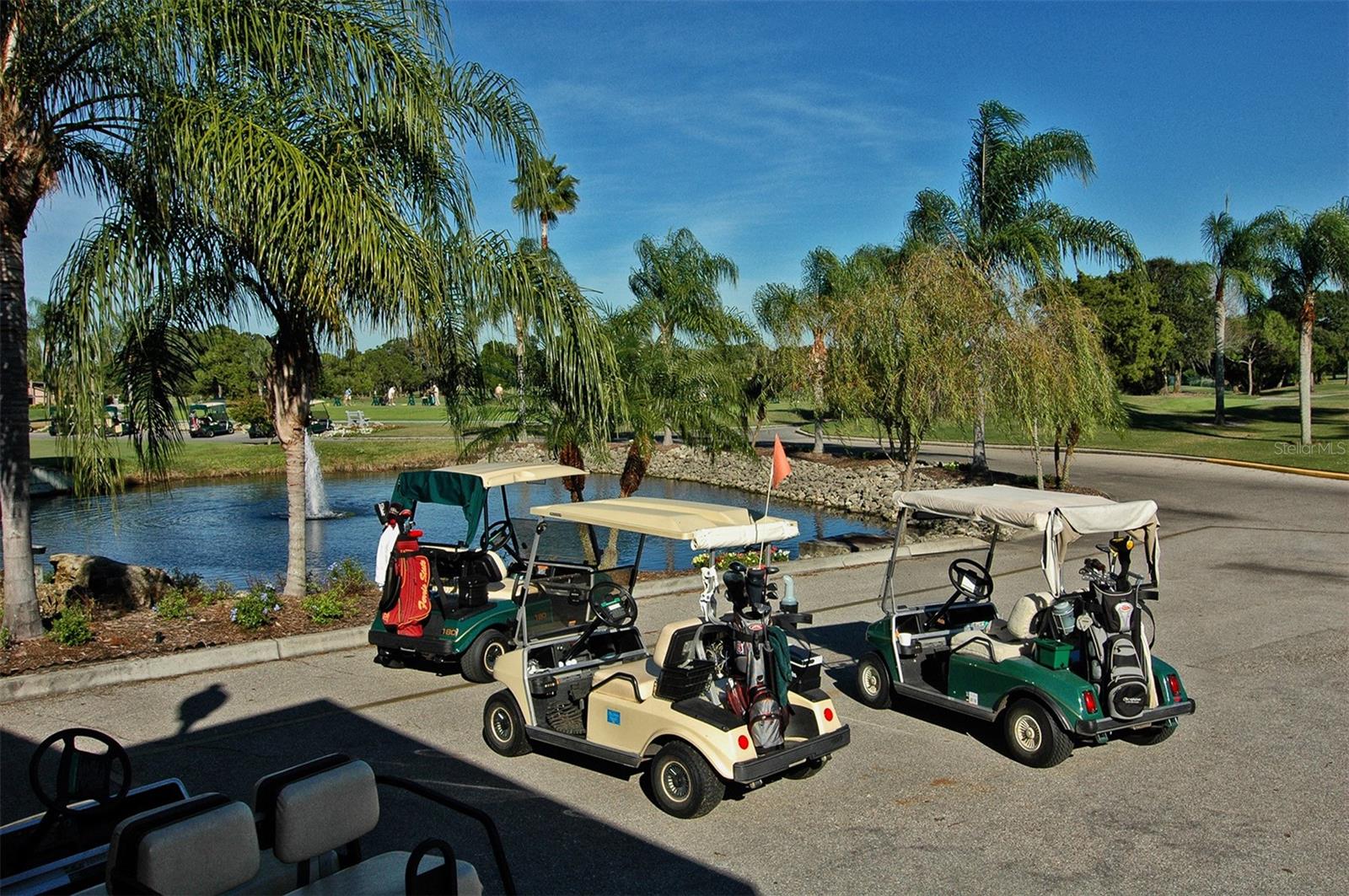 5133 WILLOW LINKS #11 — photo 57