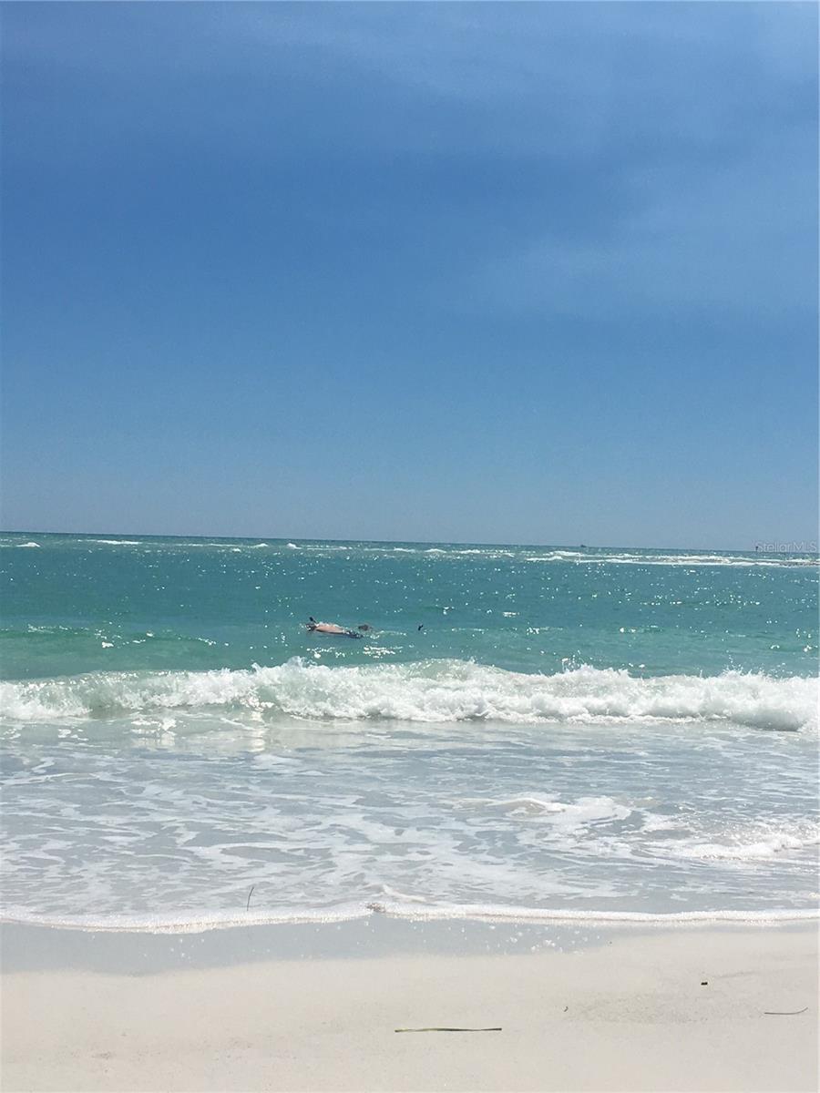 Home in SARASOTA — photo 12