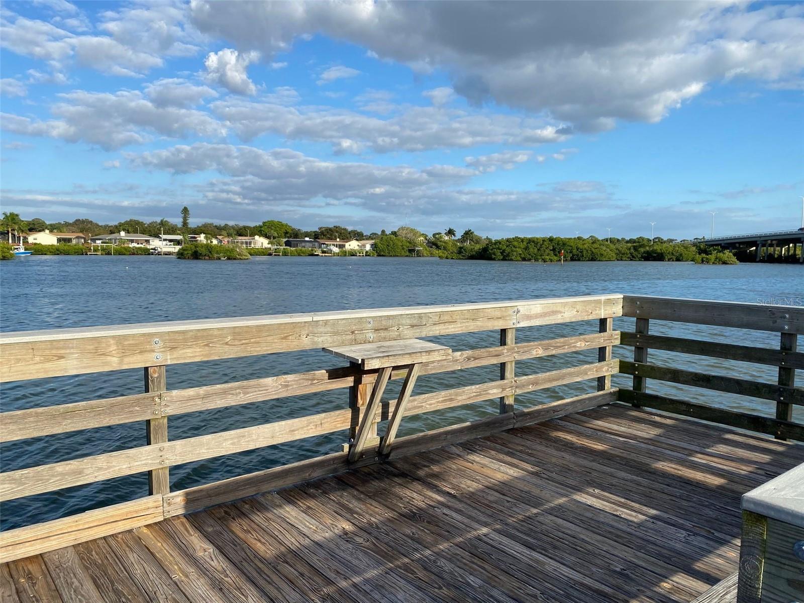 WHISPERING PINES DR — photo 39