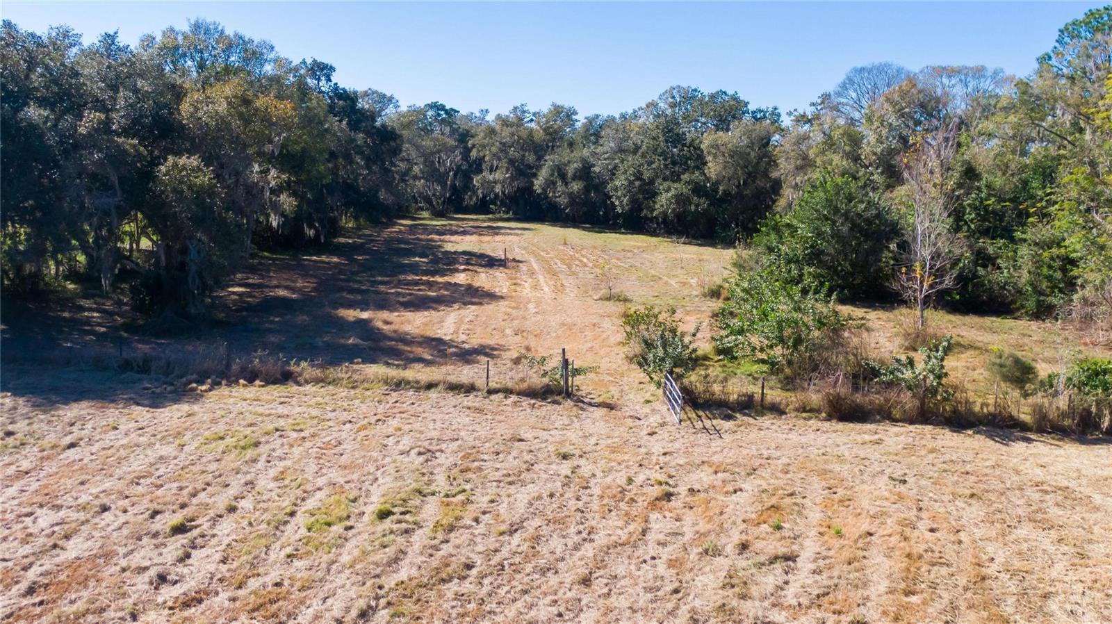 S. FORBES RD — photo 11