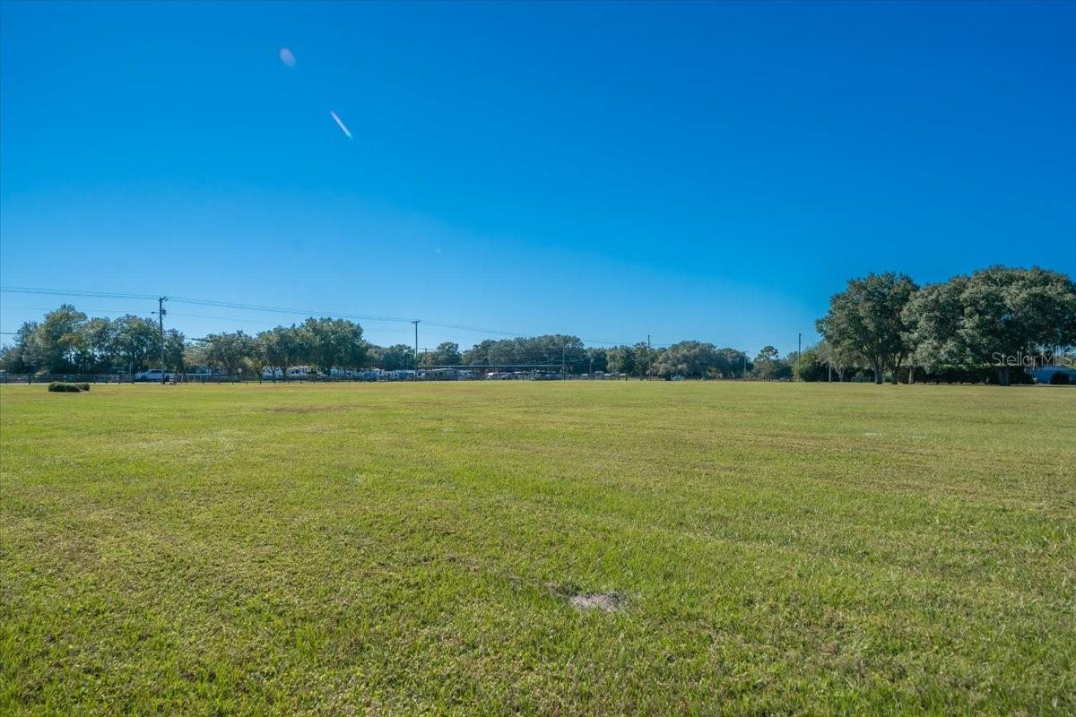 31935 COUNTY ROAD 52 — photo 18