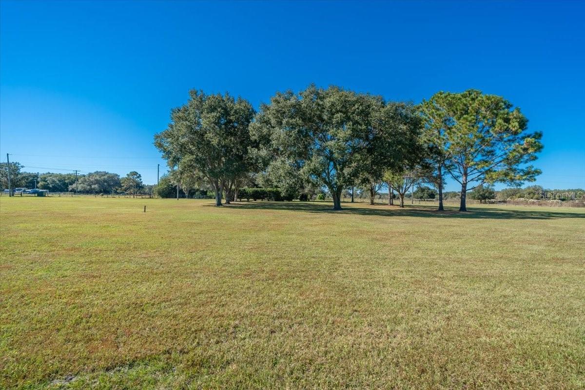 31935 COUNTY ROAD 52 — photo 24