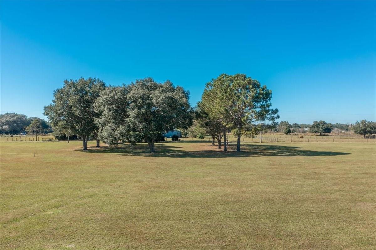 31935 COUNTY ROAD 52 — photo 4