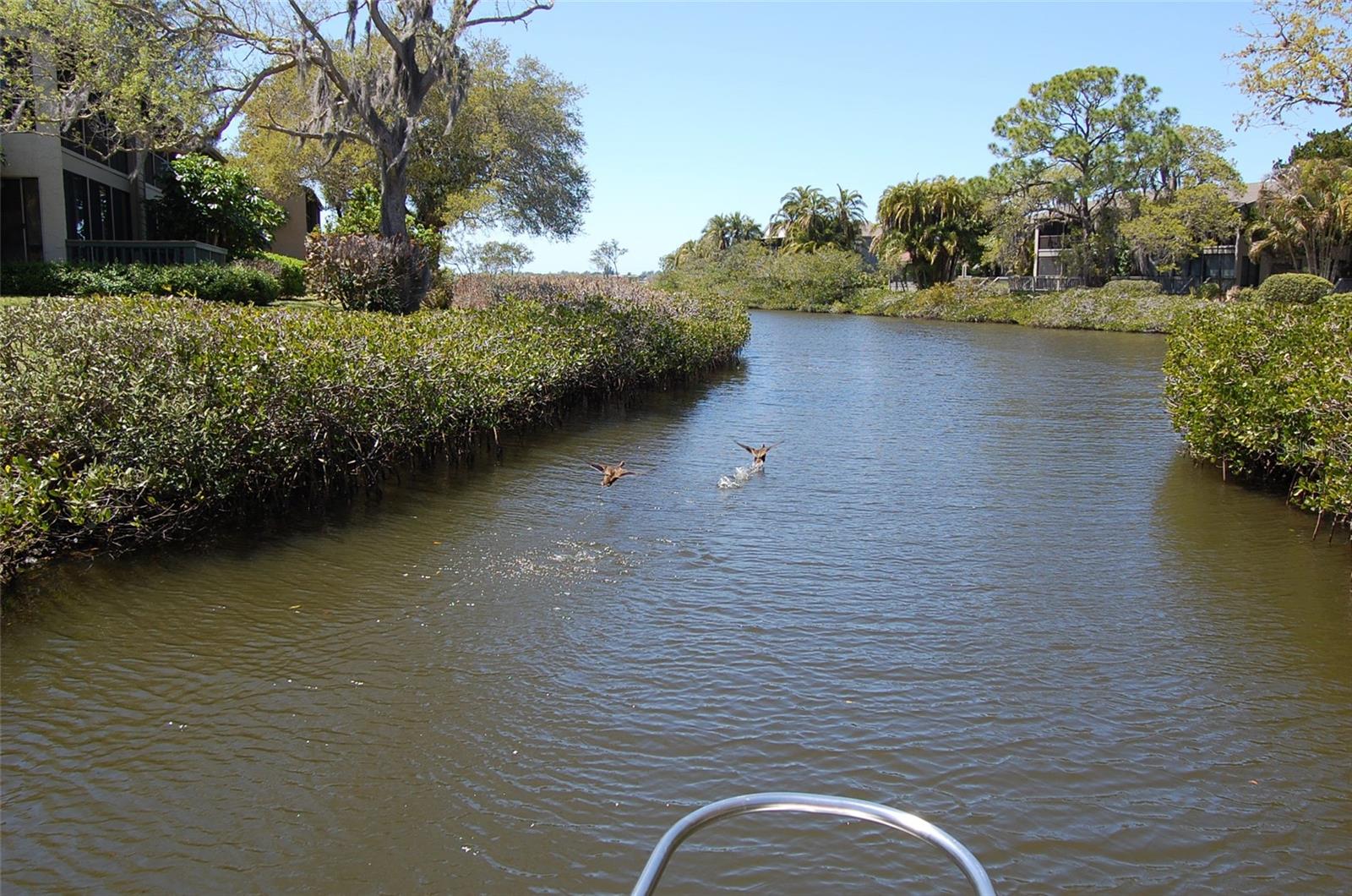 1633 BOATHOUSE CIR #HA231 — photo 32
