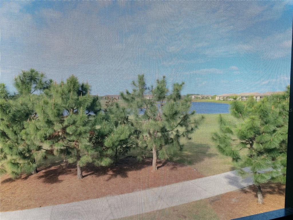 5664 PALMER CIR #202 — photo 39