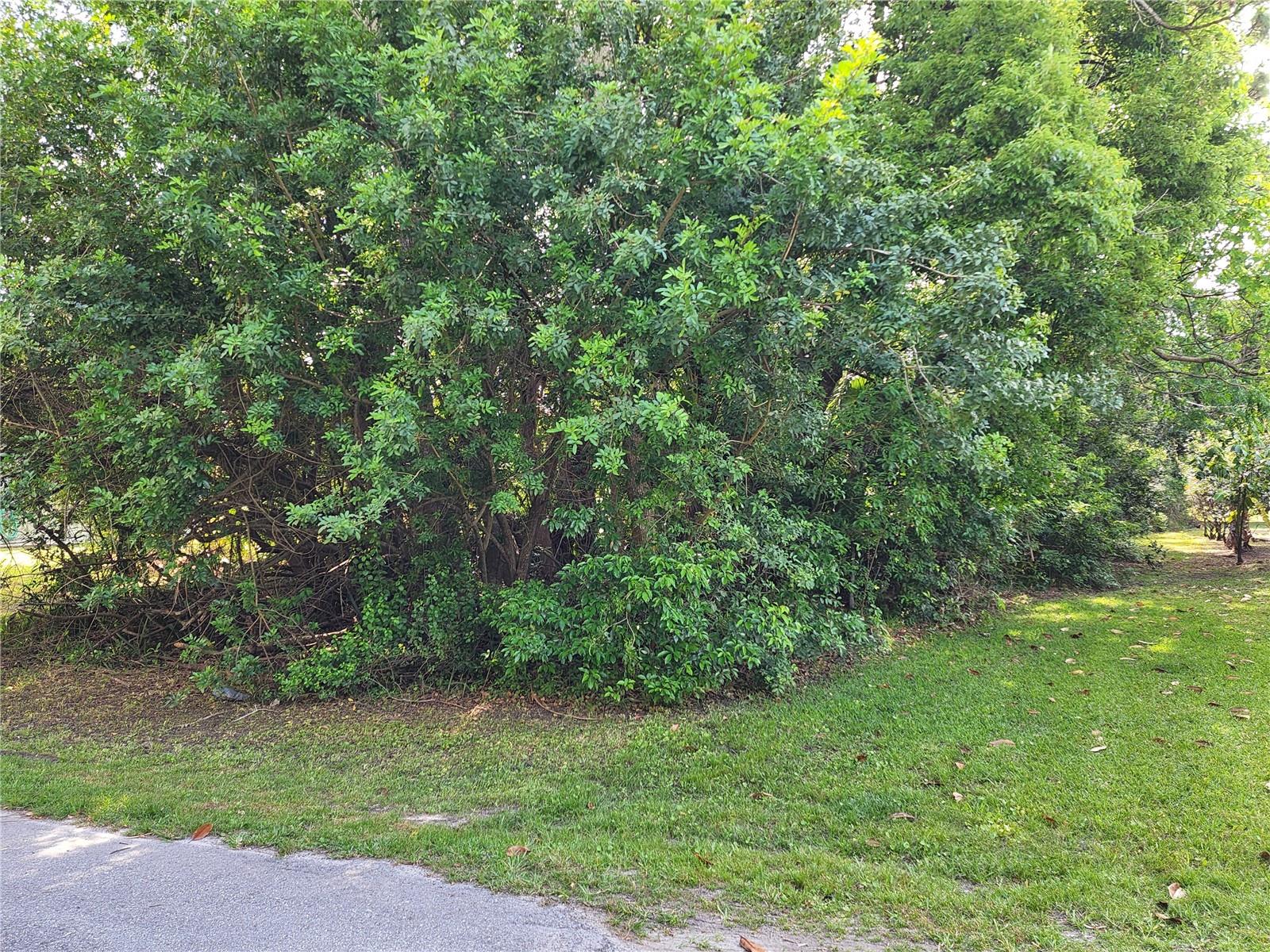 Lot 23 LYLE CIR — photo 2
