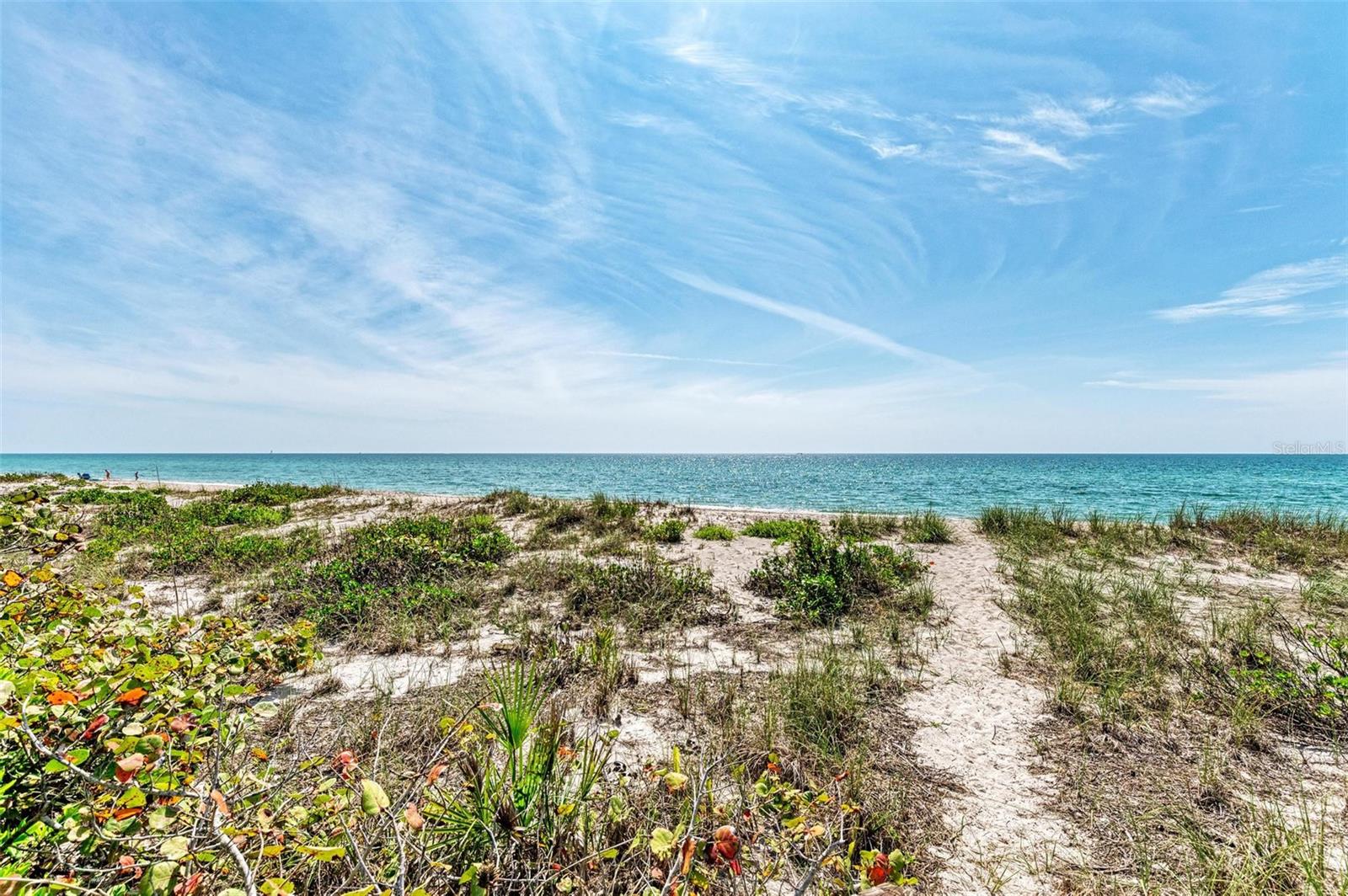 8320 MANASOTA KEY RD — photo 53