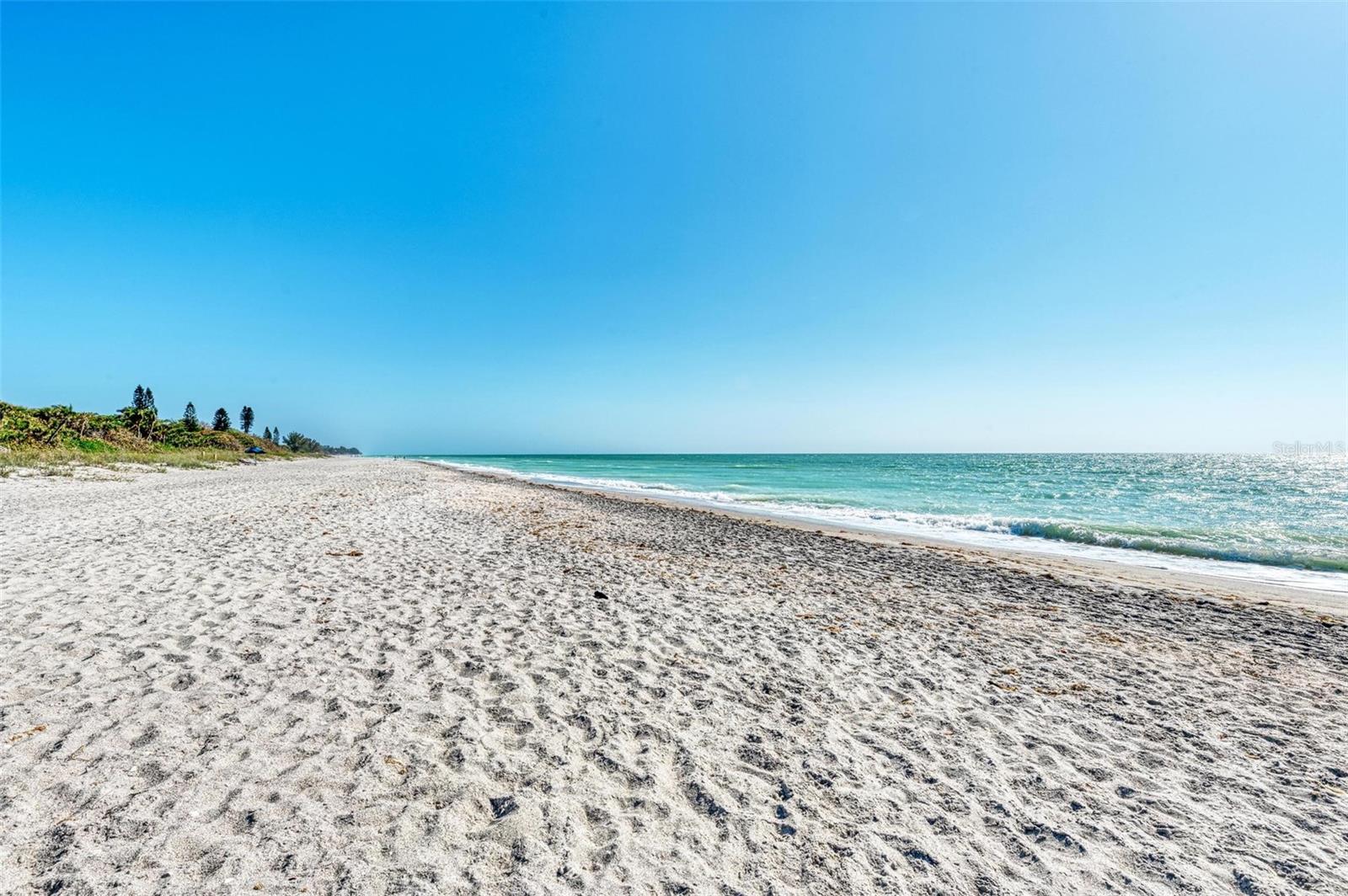 6590 MANASOTA KEY RD — photo 55