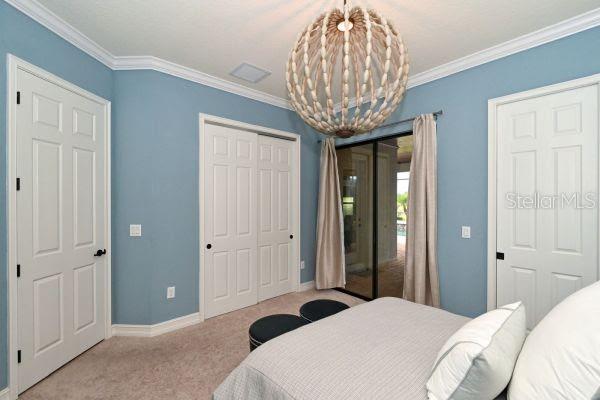 5507 ARNIE LOOP — photo 22