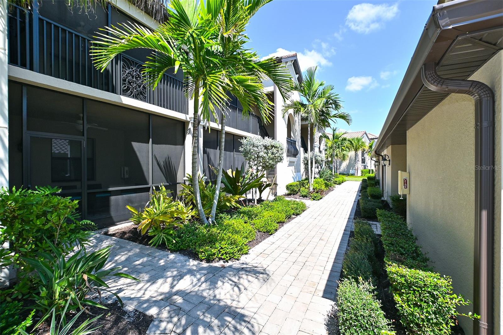 5567 PALMER CIR #104 — photo 3