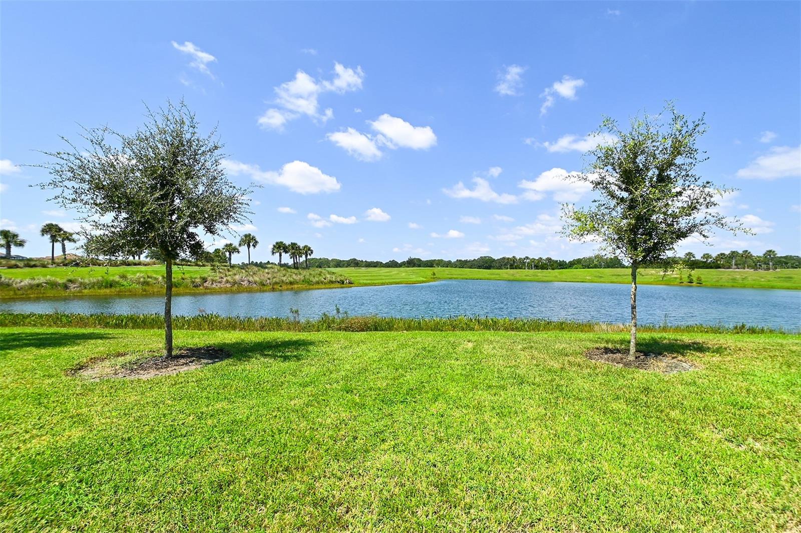 5567 PALMER CIR #104 — photo 36