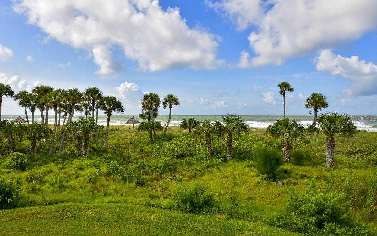 1485 GULF OF MEXICO DR #109 — photo 41