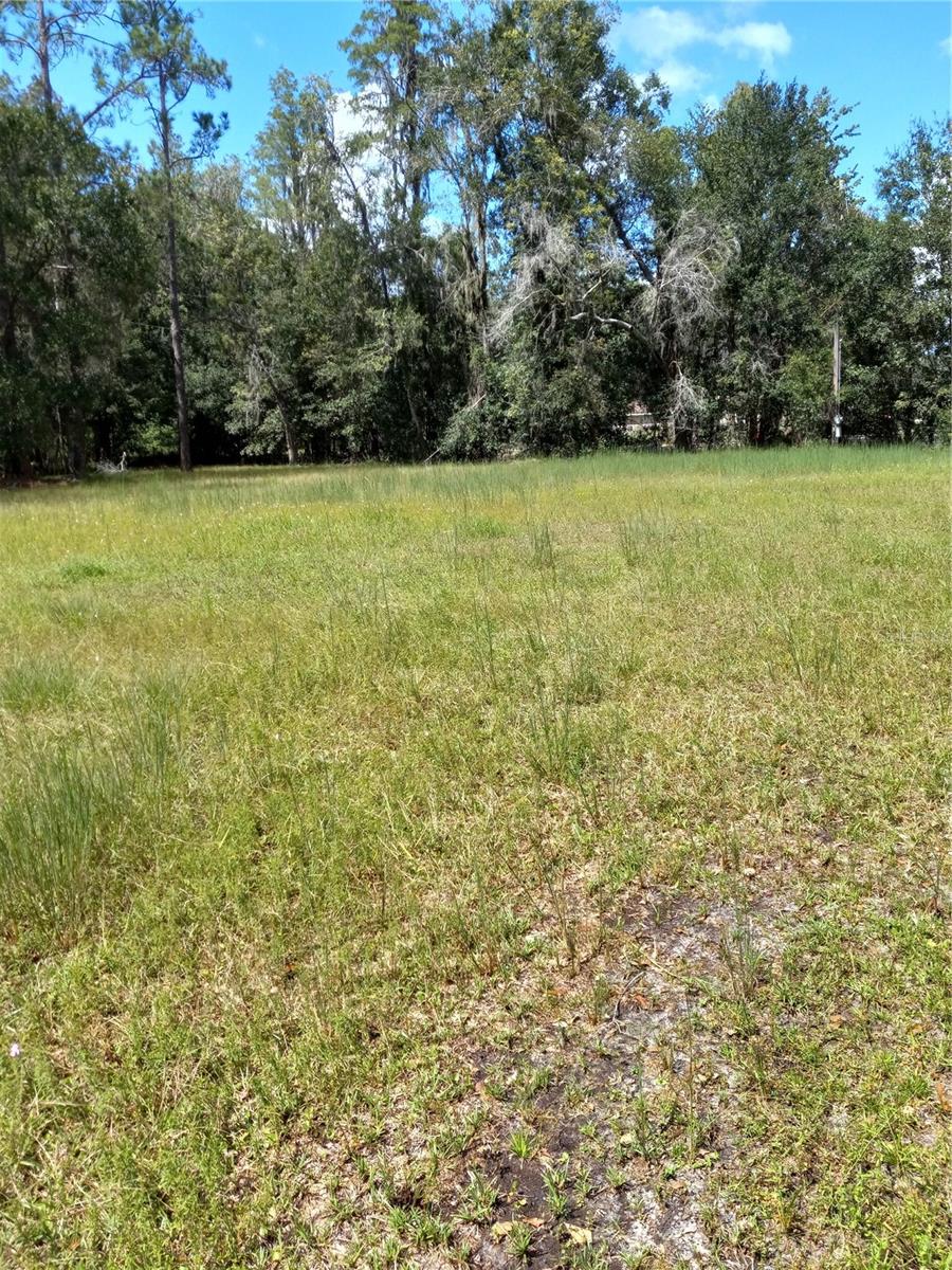 2902 W LUTZ LAKE FERN RD — photo 26