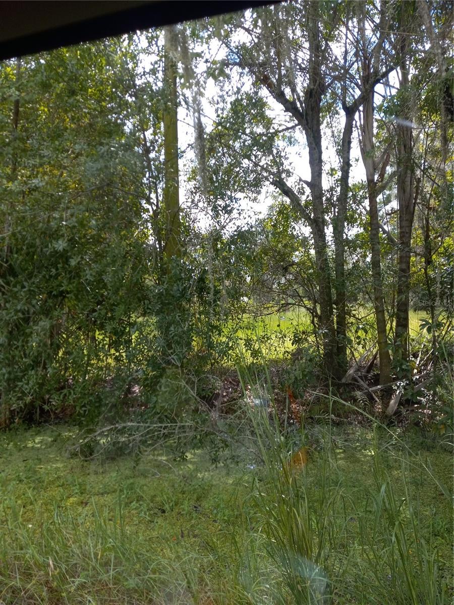 2902 W LUTZ LAKE FERN RD — photo 10