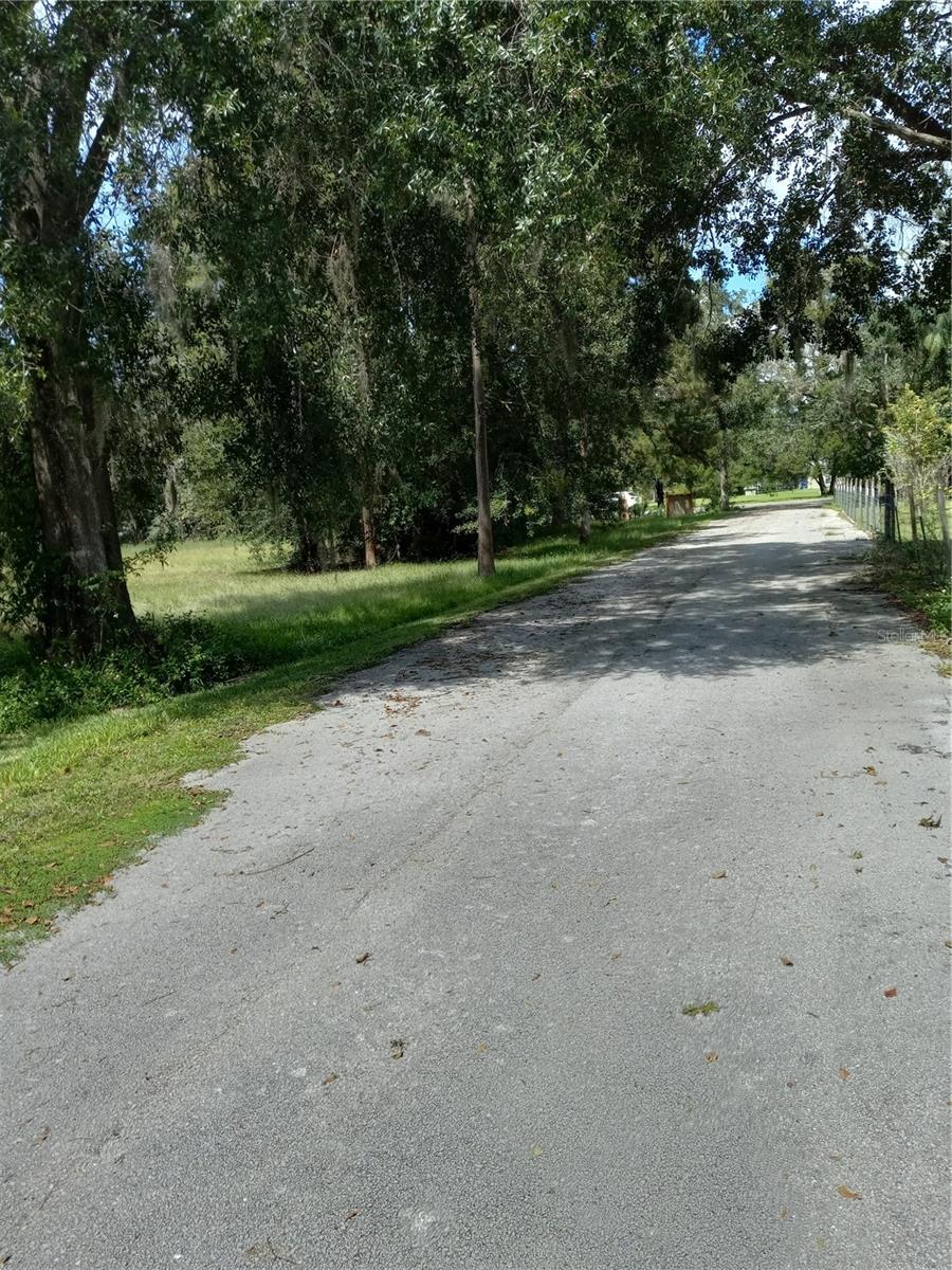 2902 W LUTZ LAKE FERN RD — photo 12