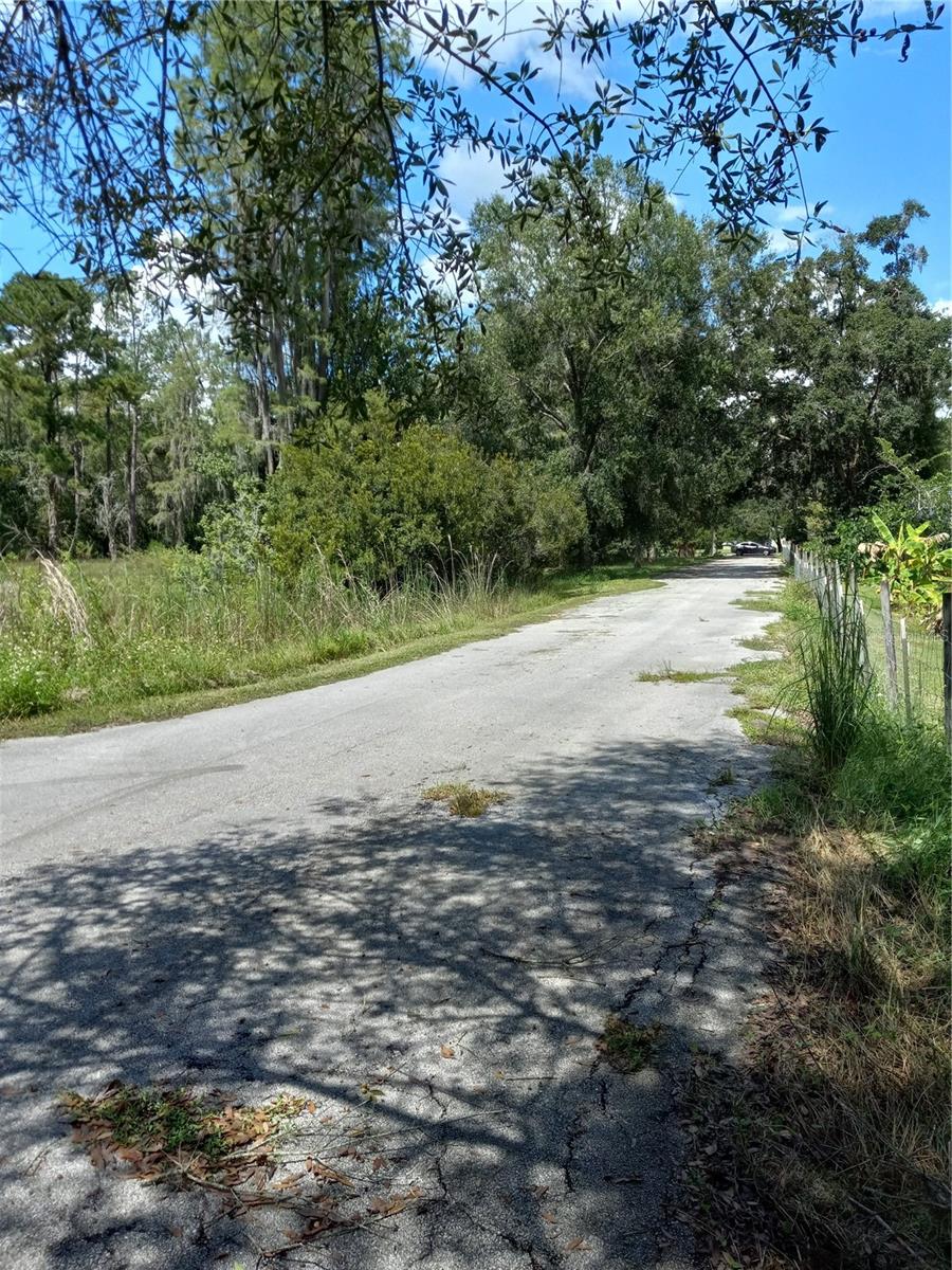 2902 W LUTZ LAKE FERN RD — photo 23