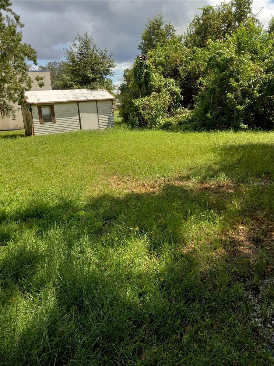 2902 W LUTZ LAKE FERN RD — photo 4