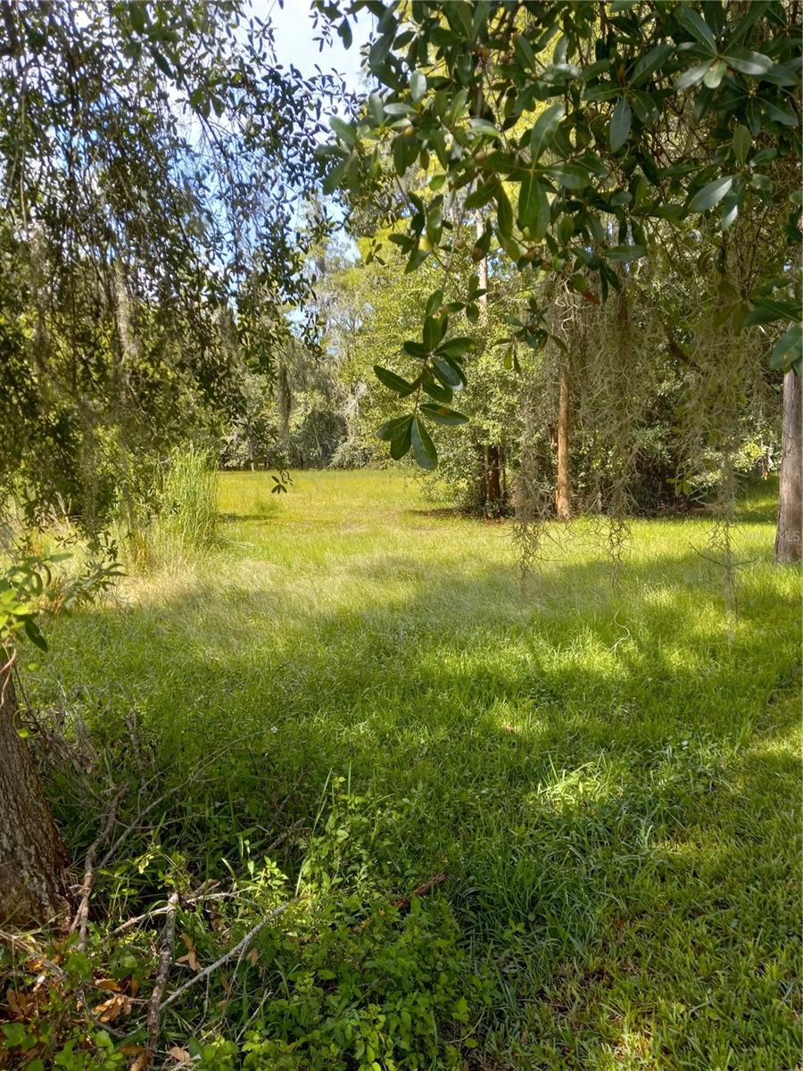 2902 W LUTZ LAKE FERN RD — photo 8