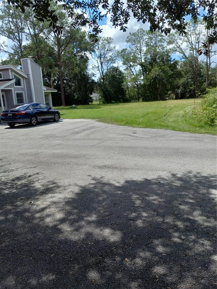 2902 W LUTZ LAKE FERN RD — photo 3
