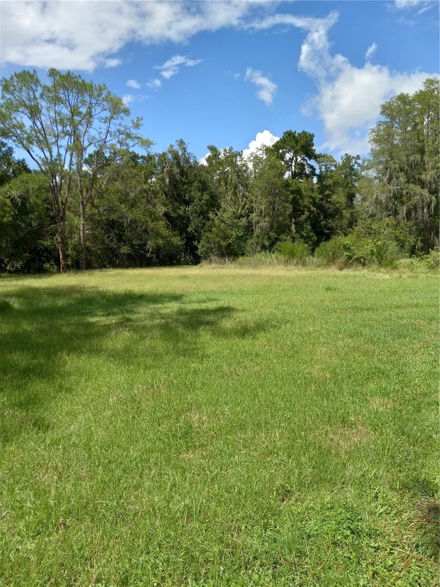 2902 W LUTZ LAKE FERN RD — photo 20