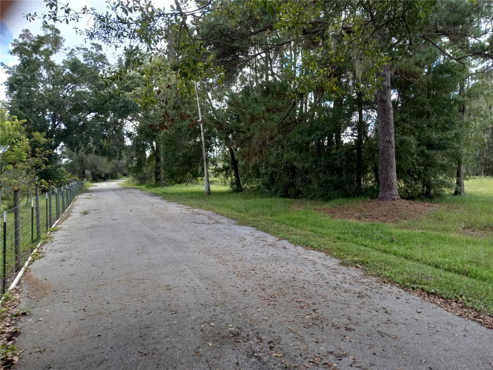 2902 W LUTZ LAKE FERN RD — photo 11