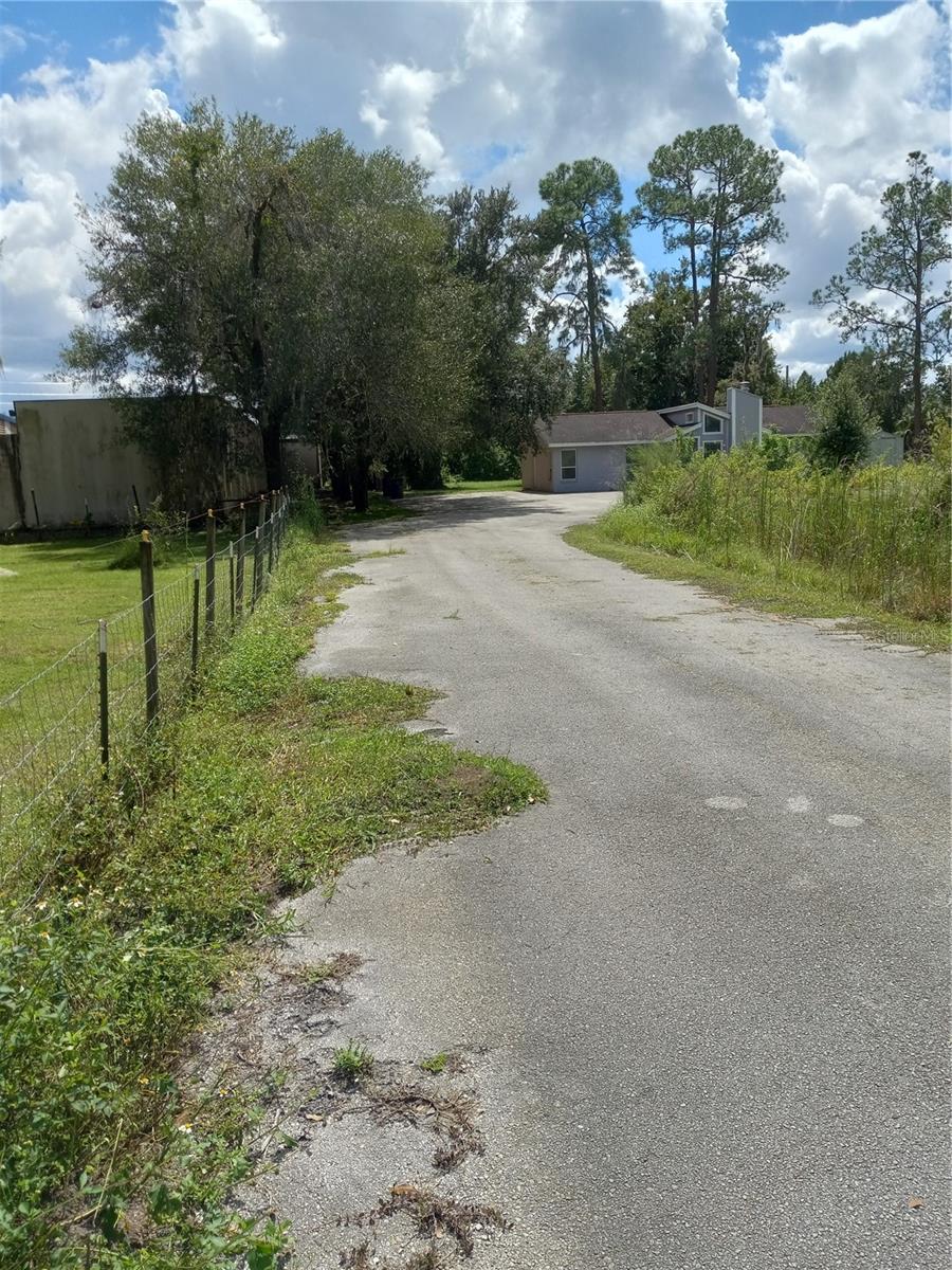 2902 W LUTZ LAKE FERN RD — photo 14