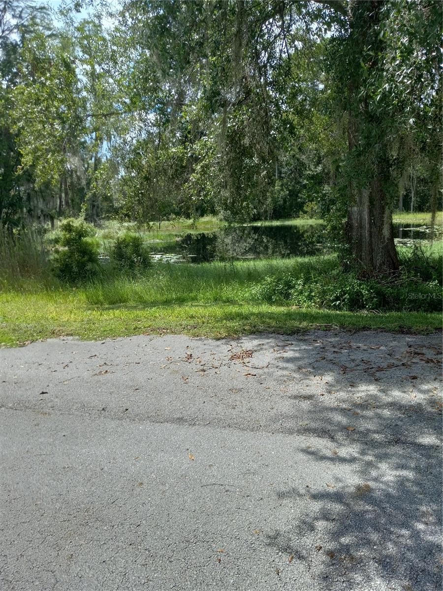 2902 W LUTZ LAKE FERN RD — photo 13