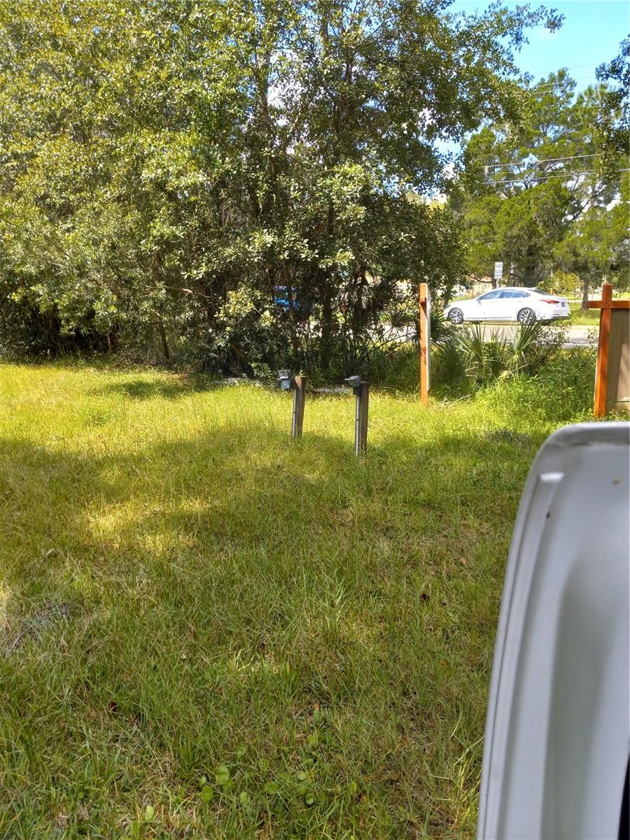 2902 W LUTZ LAKE FERN RD — photo 28