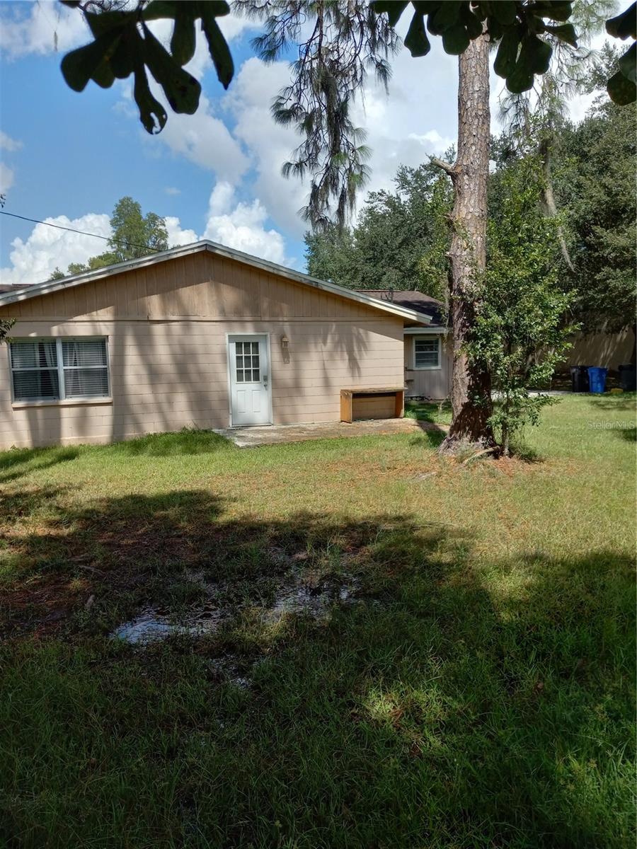2902 W LUTZ LAKE FERN RD — photo 6