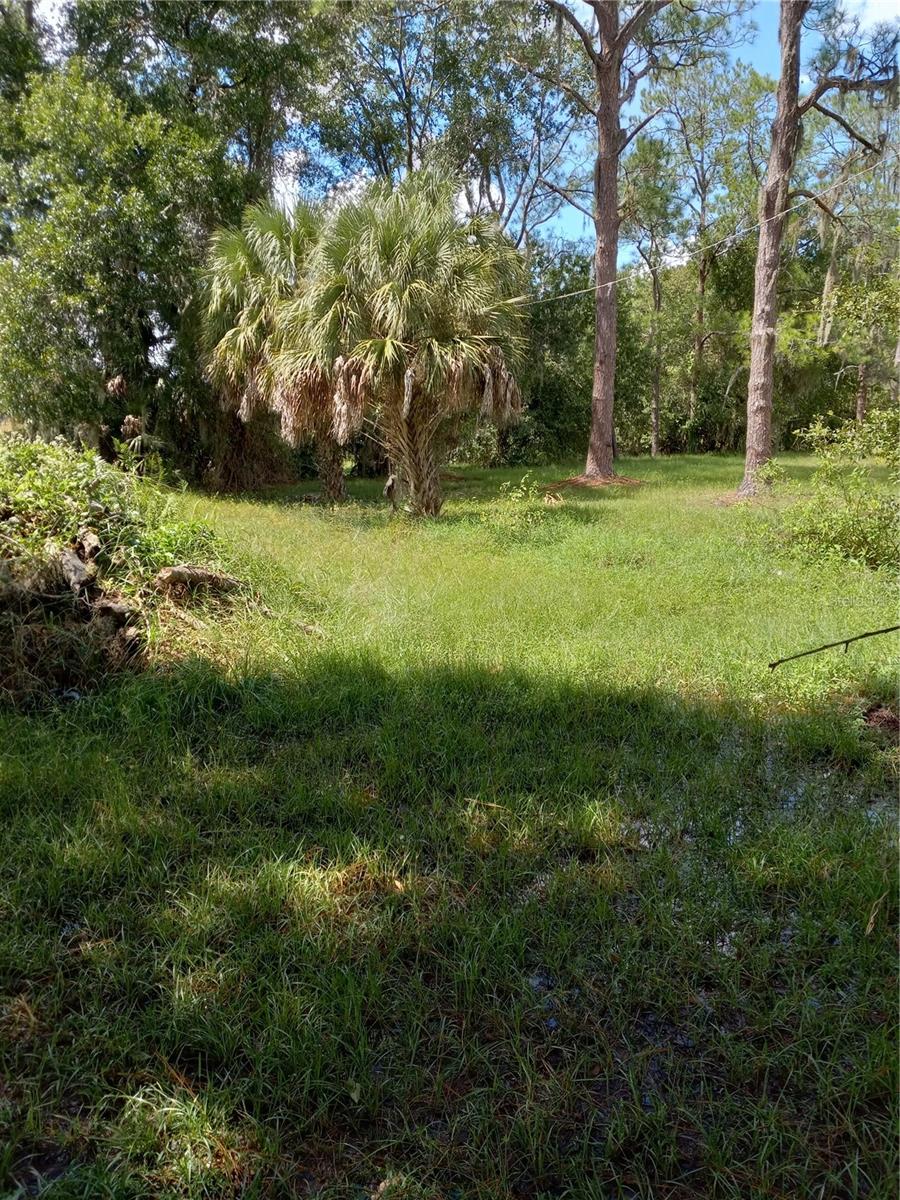 2902 W LUTZ LAKE FERN RD — photo 18