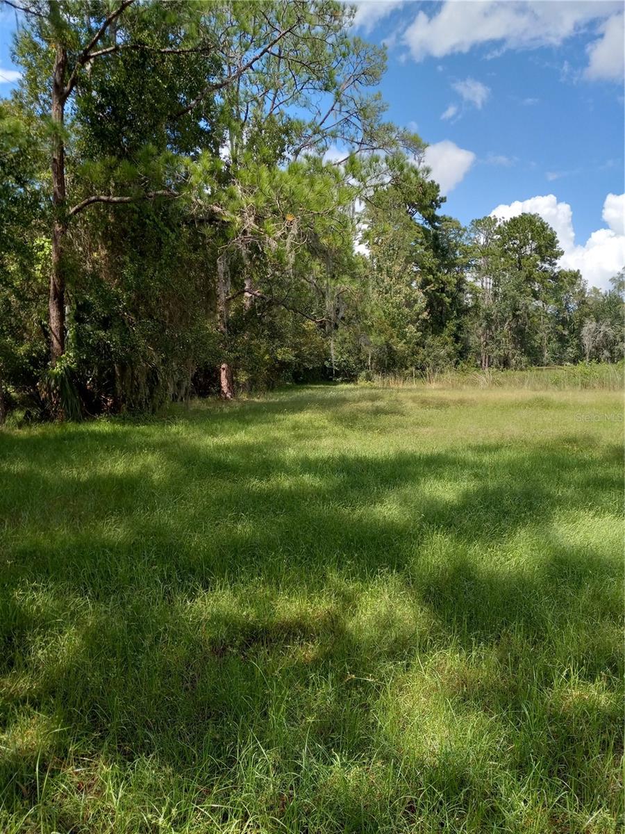 2902 W LUTZ LAKE FERN RD — photo 22