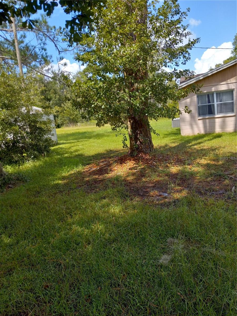 2902 W LUTZ LAKE FERN RD — photo 5