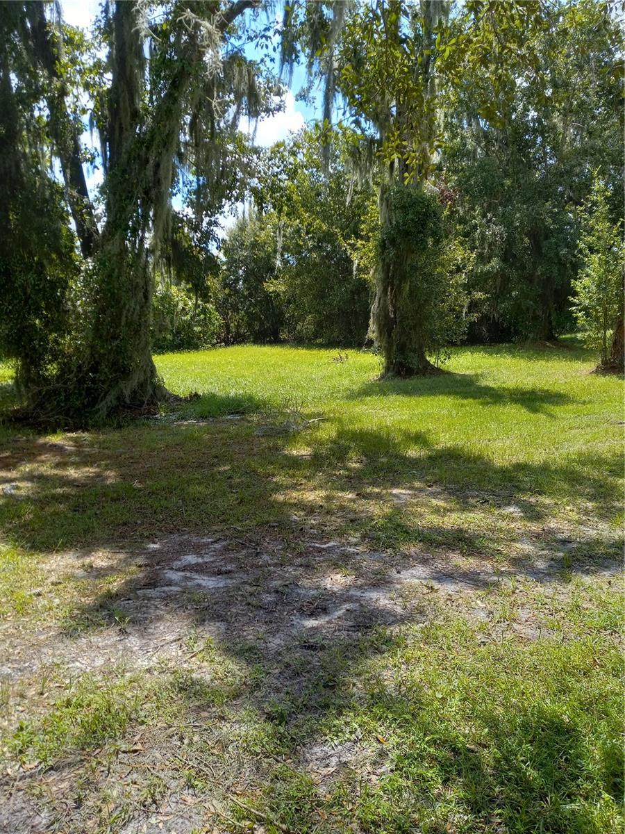 2902 W LUTZ LAKE FERN RD — photo 16