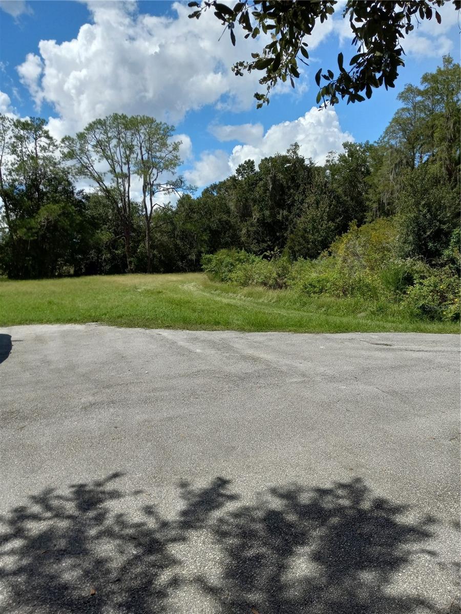 2902 W LUTZ LAKE FERN RD — photo 15
