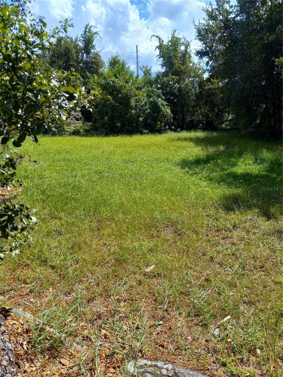 2902 W LUTZ LAKE FERN RD — photo 17
